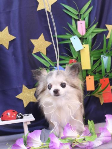 20230709クラウディアちゃん